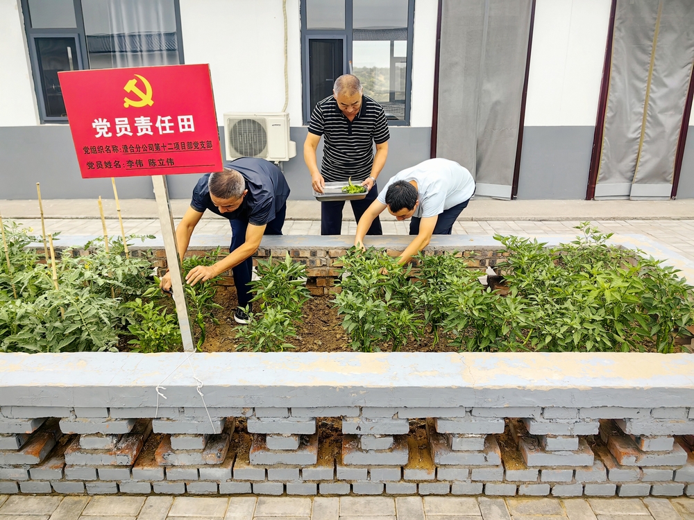 香港图库资料大全